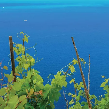 Gorgeous In With House Sea View Lejlighed